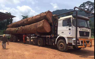 木料运输车出口|6X6全驱原木运输车|全驱森林木材运输车图片