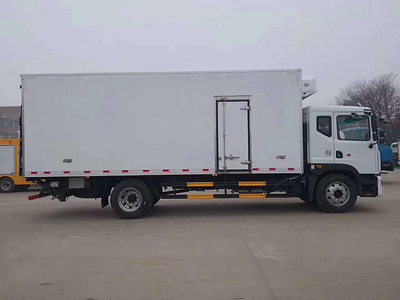 东风D9多利卡6.8米冷藏车 9.3米冷藏车图片