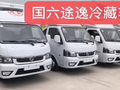 国六小型蓝牌东风途逸冷藏车视频图片