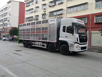 国六东风天龙畜禽运输车图片