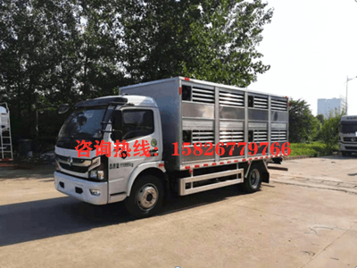 国六5米猪苗运输车图片