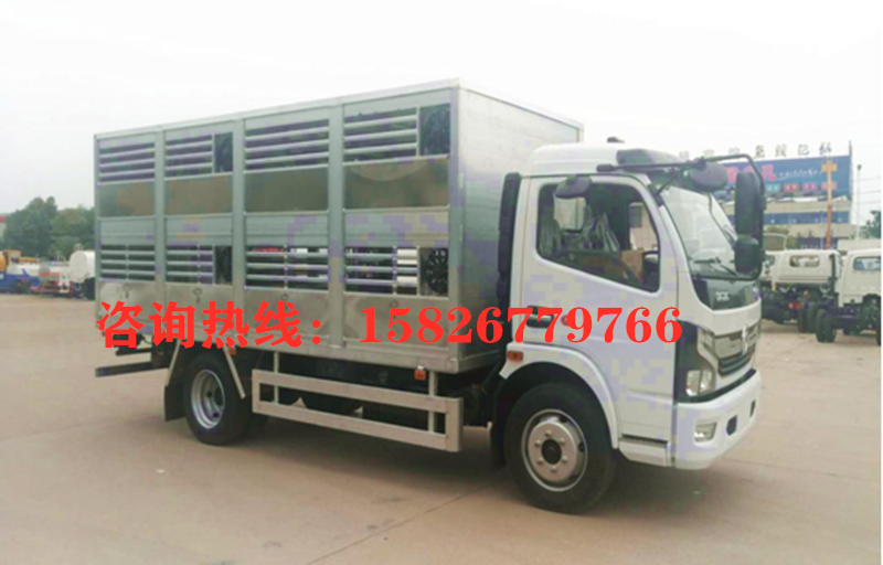 国六5米猪苗运输车_高清图片