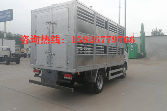 国六5米猪苗运输车_高清图片