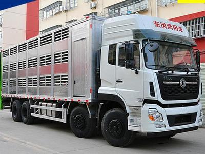 运猪车/畜禽运输车|运猪车|猪仔运输车|活猪运输车|