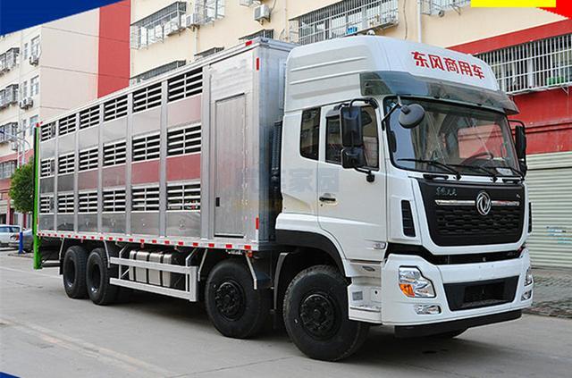 畜禽运输车 铝合金生猪运输车 东风天龙运输车 前四后八畜禽车图片