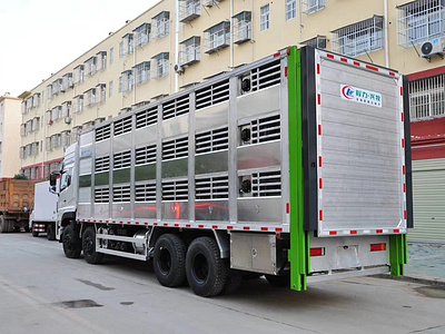 东风天龙运猪车，猪苗运输车，畜禽车图片