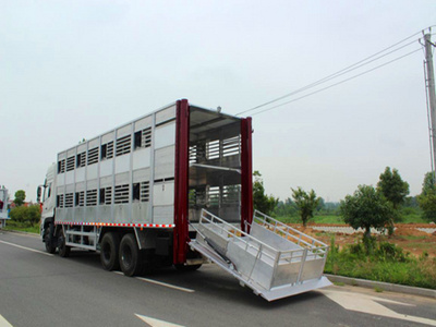 生猪运输车 新款拉猪车 9米6生猪运输车厂家