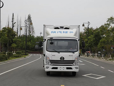 陕汽德龙K3000冷藏车(国六)图片杂项危险物品厢式运输车图片