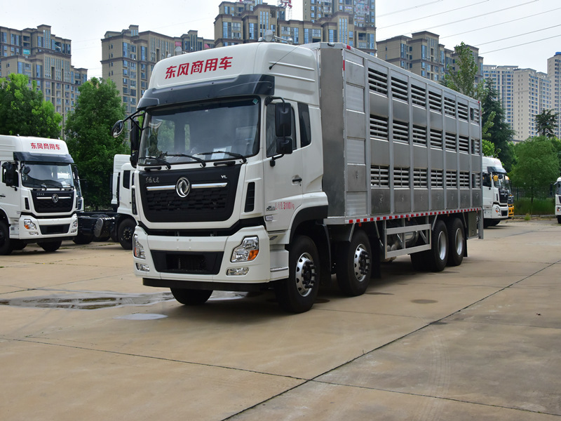 高端畜禽运输车9米6拉猪专用车价格及配置