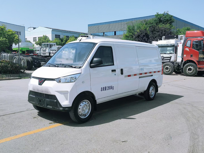 神車(chē)上市五菱新能源EV50冷藏車(chē)價(jià)格13971799462