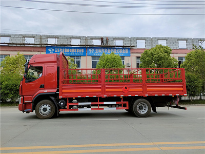 国六柳汽乘龙单桥6米72气瓶运输车 核载10吨高栏危险品车图片