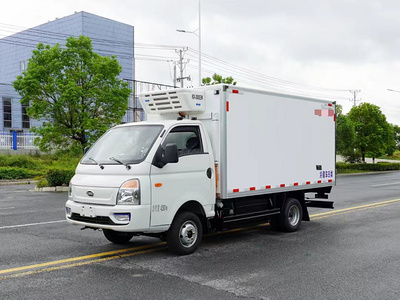 國(guó)六凱馬銳航純電動(dòng)冷藏車圖片